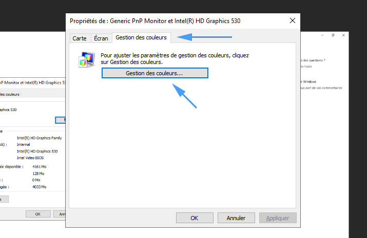 Propriétés de la carte graphique sous Windows 10