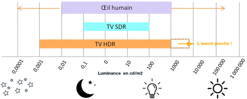 Dynamiques comparées de l'œil humain et des écrans ou télévisions HDR
