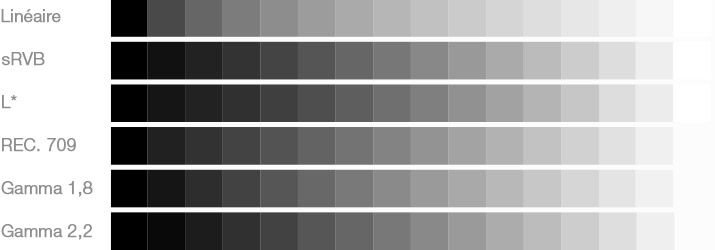 Différents gammas et conséquences sur la répartition ou l'étagement des gris ou des blancs