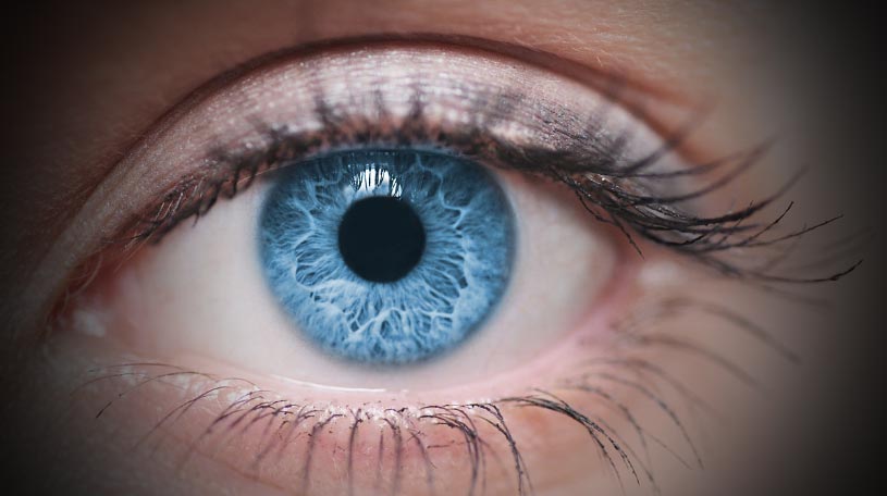 L'œil humain et sa perception des couleurs