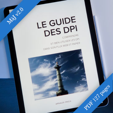 Guide des DPI - PDF 127 pages pour comprendre et bien utiliser les DPI